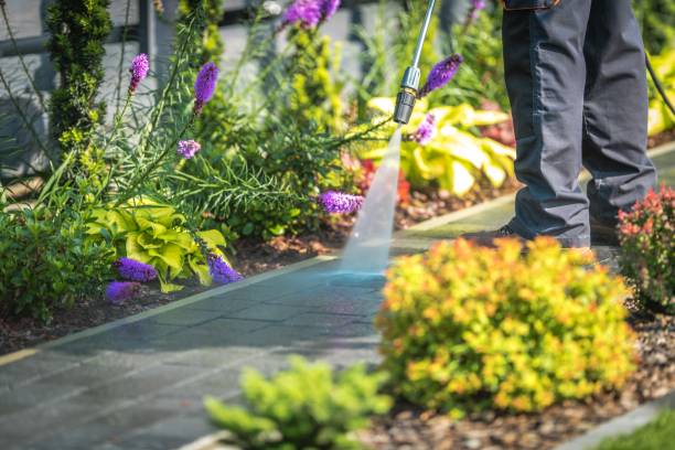 Oak Point, TX Pressure Washing Services Company