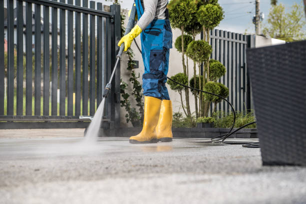 Best Gutter Cleaning and Brightening in Oak Point, TX